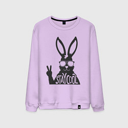 Свитшот хлопковый мужской Stay cool rabbit, цвет: лаванда
