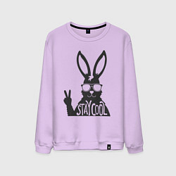 Мужской свитшот Stay cool rabbit