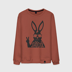 Свитшот хлопковый мужской Stay cool rabbit, цвет: кирпичный