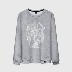Свитшот хлопковый мужской Spider rock, цвет: меланж