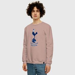 Свитшот хлопковый мужской Tottenham Hotspur fc sport, цвет: пыльно-розовый — фото 2