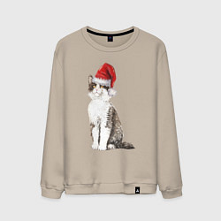 Свитшот хлопковый мужской Пятнистый кот в новогодней шапочке, цвет: миндальный
