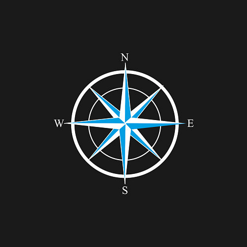 Мужской свитшот Роза ветров компас / Черный – фото 3