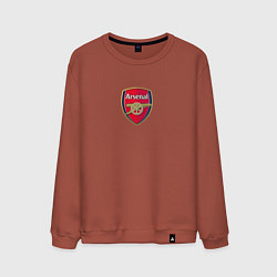 Свитшот хлопковый мужской Arsenal fc sport club, цвет: кирпичный