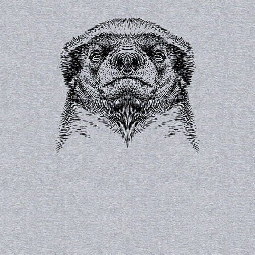 Мужской свитшот Гордый медоед / Меланж – фото 3