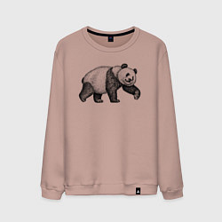 Свитшот хлопковый мужской Панда гуляет, цвет: пыльно-розовый
