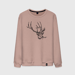 Свитшот хлопковый мужской Голова оленя краской, цвет: пыльно-розовый