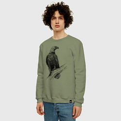 Свитшот хлопковый мужской Орёл на ветке, цвет: авокадо — фото 2