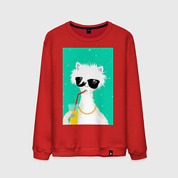 Свитшот хлопковый мужской Лама-альпака на чиле с бокалом, цвет: красный