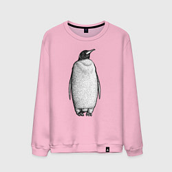 Свитшот хлопковый мужской Пингвин стоит анфас, цвет: светло-розовый