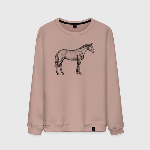 Мужской свитшот Лошадь стоит в профиль / Пыльно-розовый – фото 1