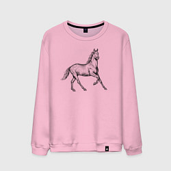 Свитшот хлопковый мужской Лошадь скачет в профиль, цвет: светло-розовый
