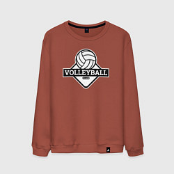Свитшот хлопковый мужской Volleyball club, цвет: кирпичный