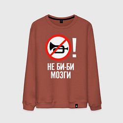 Свитшот хлопковый мужской Не биби мозги, цвет: кирпичный