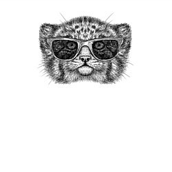 Свитшот хлопковый мужской Котёнок манул в очках, цвет: белый — фото 2