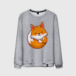 Мужской свитшот Orange fox