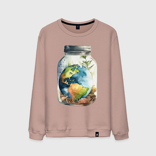 Мужской свитшот Мир в банке - Земля / Пыльно-розовый – фото 1