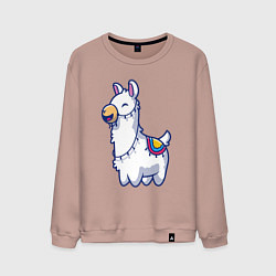 Мужской свитшот Весёлая альпака