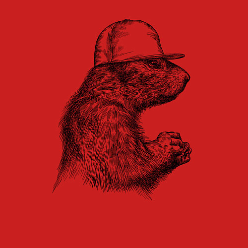 Мужской свитшот Суслик в кепке / Красный – фото 3