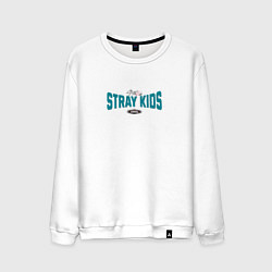 Мужской свитшот Stray Kids legendary