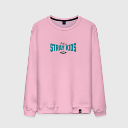 Мужской свитшот Stray Kids legendary