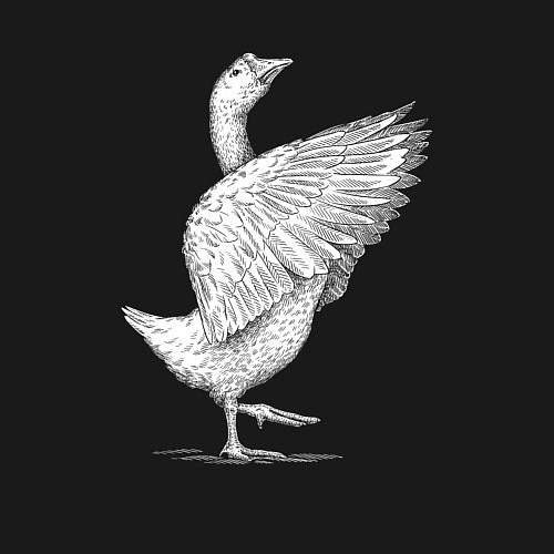 Мужской свитшот Гусь белоснежный / Черный – фото 3