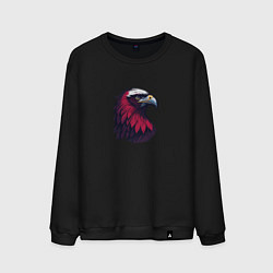 Свитшот хлопковый мужской Красочный орел, цвет: черный