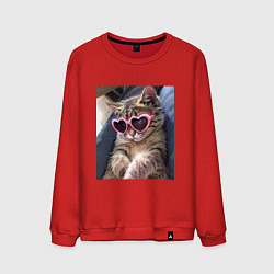 Свитшот хлопковый мужской Милый мем-кот в очках в стиле аниме, цвет: красный