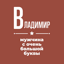 Свитшот хлопковый мужской Владимир мужчина с очень большой буквы, цвет: кирпичный — фото 2