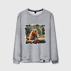 Мужской свитшот Мем капибара с пилой: люди делятся на две части