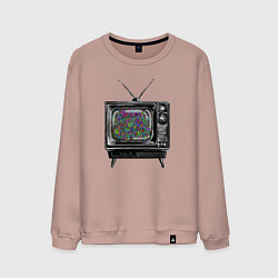 Свитшот хлопковый мужской Старый телевизор цветной шум, цвет: пыльно-розовый