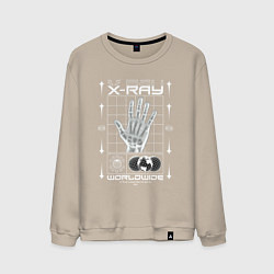 Мужской свитшот X-ray streetwear