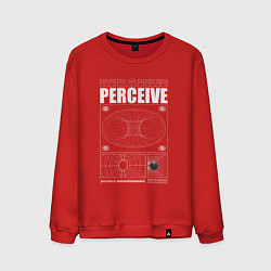 Мужской свитшот Perceive streetwear