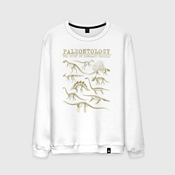 Свитшот хлопковый мужской Paleontology the study of dinosaur fossils, цвет: белый