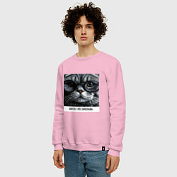 Свитшот хлопковый мужской Мем кот в очках: шерсть это приправа, цвет: светло-розовый — фото 2