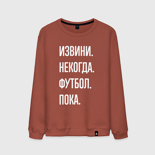 Мужской свитшот Извини некогда: футбол, пока / Кирпичный – фото 1