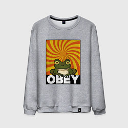 Свитшот хлопковый мужской Гипножаба по мотивам Футурама на оранжевом фоне, цвет: меланж