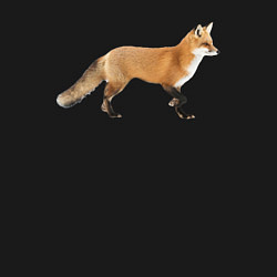 Свитшот хлопковый мужской Рыжая идущая лиса, цвет: черный — фото 2