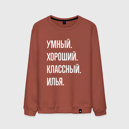Мужской свитшот Умный хороший классный Илья / Кирпичный – фото 1