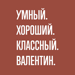 Свитшот хлопковый мужской Умный хороший классный Валентин, цвет: кирпичный — фото 2