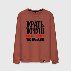 Свитшот хлопковый мужской Жрать хочу, цвет: кирпичный