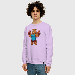 Свитшот хлопковый мужской Медведь со штангой, цвет: лаванда — фото 2
