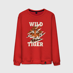 Свитшот хлопковый мужской Дикий тигр арт, цвет: красный