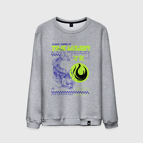 Мужской свитшот Только истинная мудрость / Меланж – фото 1