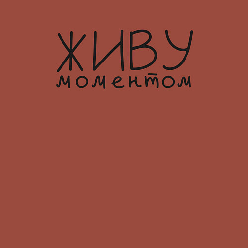 Мужской свитшот Живу моментом / Кирпичный – фото 3