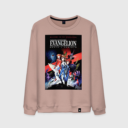 Мужской свитшот Рей Аянами Аска Лэнгли Сорью / Пыльно-розовый – фото 1