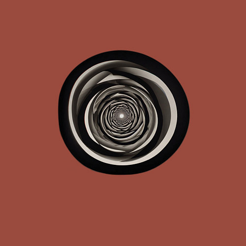 Мужской свитшот Черно белые кольца / Кирпичный – фото 3