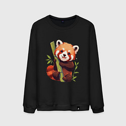 Мужской свитшот The Red Panda