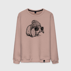 Свитшот хлопковый мужской Зайка хипстер, цвет: пыльно-розовый