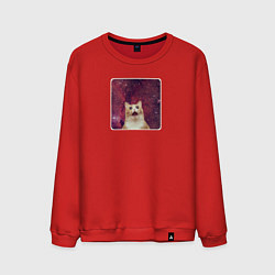 Свитшот хлопковый мужской Рыжий кот в космосе мем, цвет: красный
